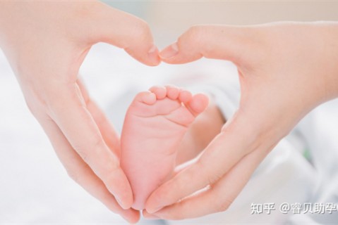 http://nantong.51dzb.net/post/188.html|南通新闻中心